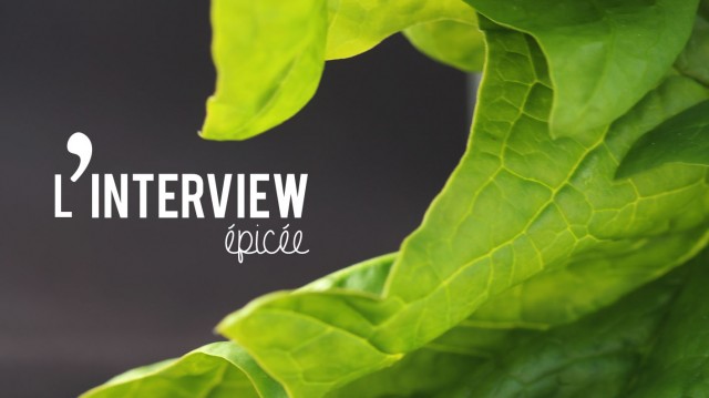 interview logo